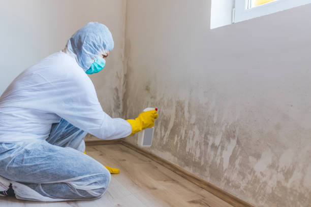 Mold Remediation specialist working in Westmont